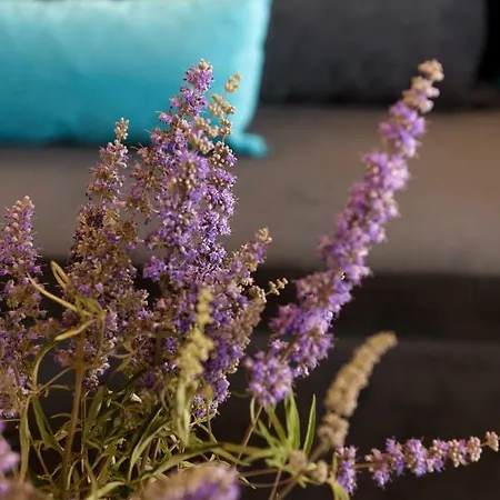 Crystal Santorini Villa Vóthon