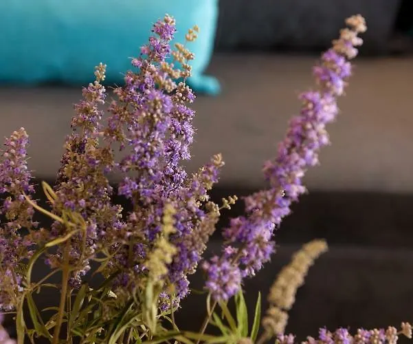 Crystal Santorini 别墅 Vóthon